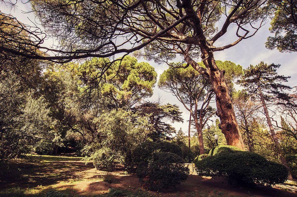 Картинка отеля - 19