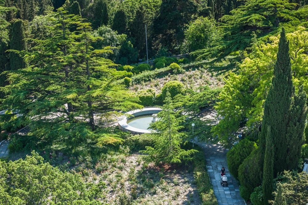 ФОРОС, санаторий - 33