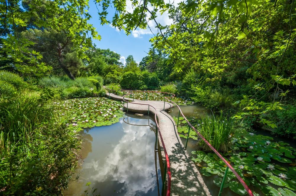 ФОРОС, санаторий - 32