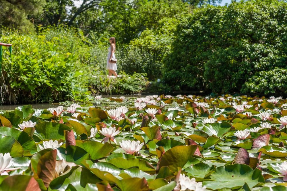 ФОРОС, санаторий - 30