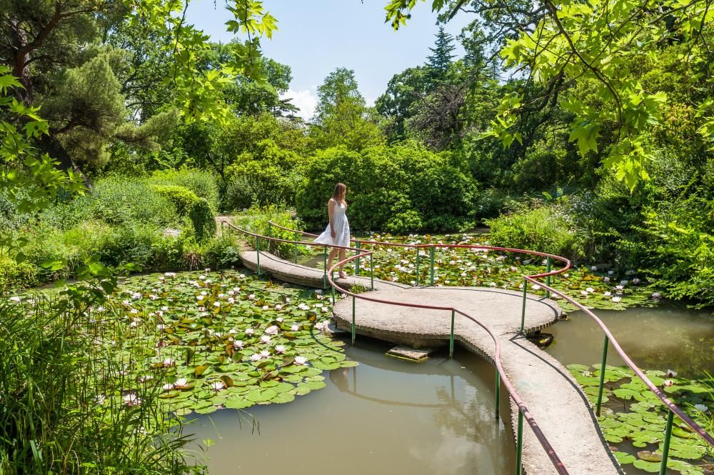 ФОРОС, санаторий - 29