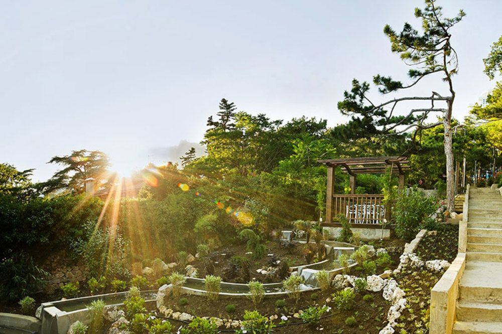 СОСНОВАЯ РОЩА, санаторий - 19