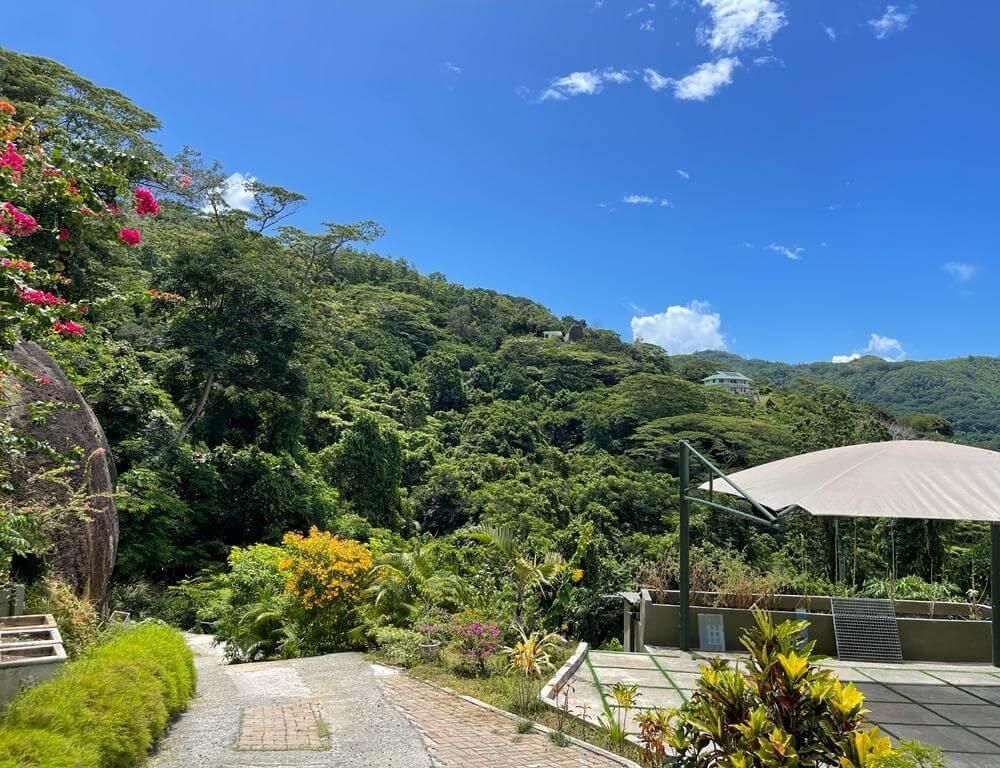 CREOLE PEARL SELF CATERING - 1