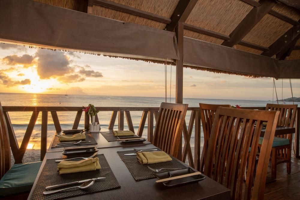 CORAL STRAND SMART CHOICE - 33