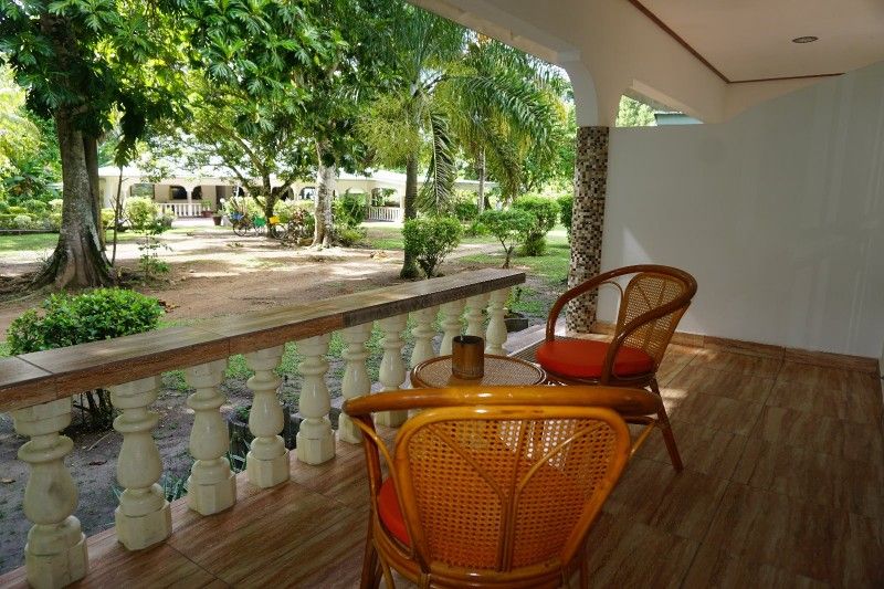 CHALET BAMBOO VERT - 4