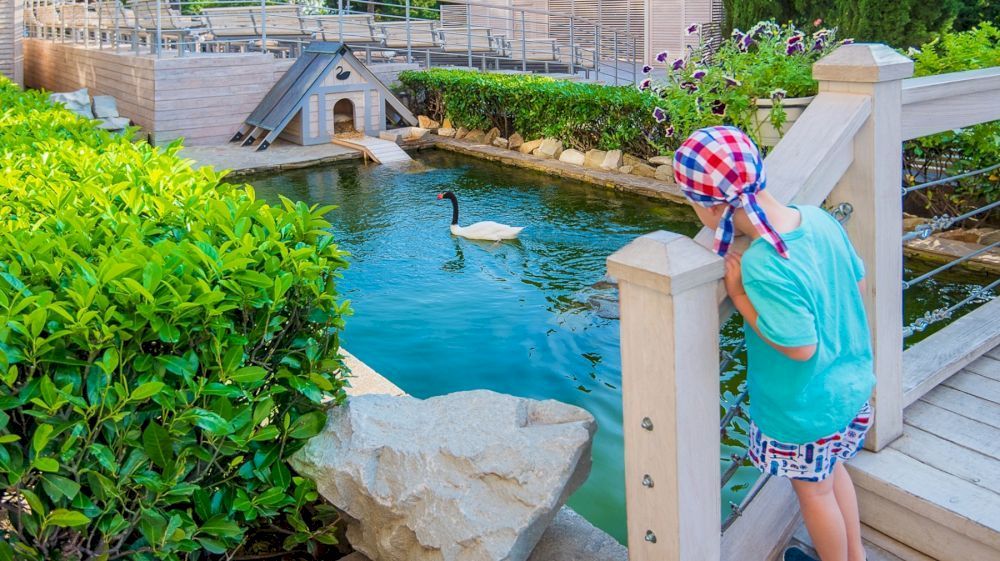 Картинка отеля - 60