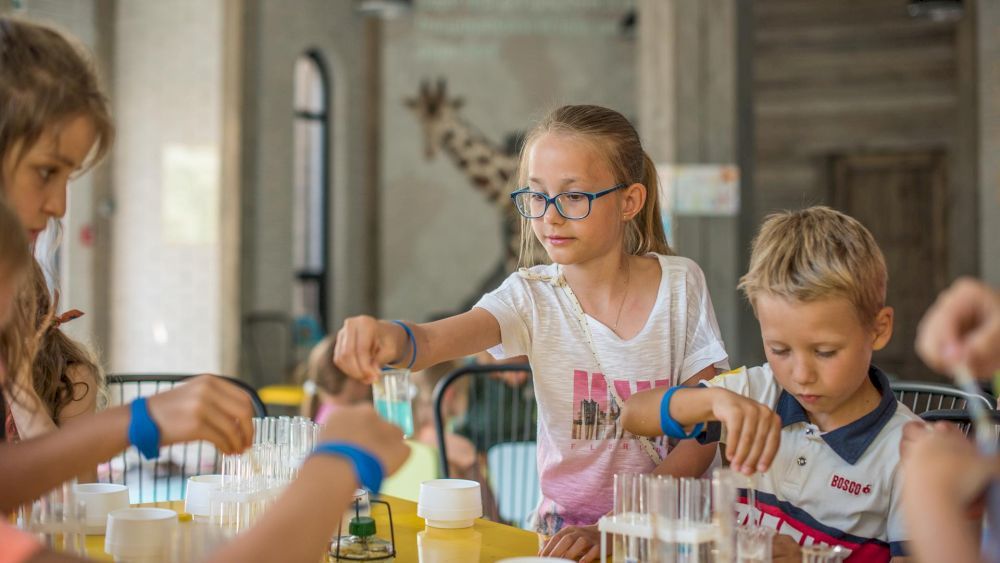 Картинка отеля - 63