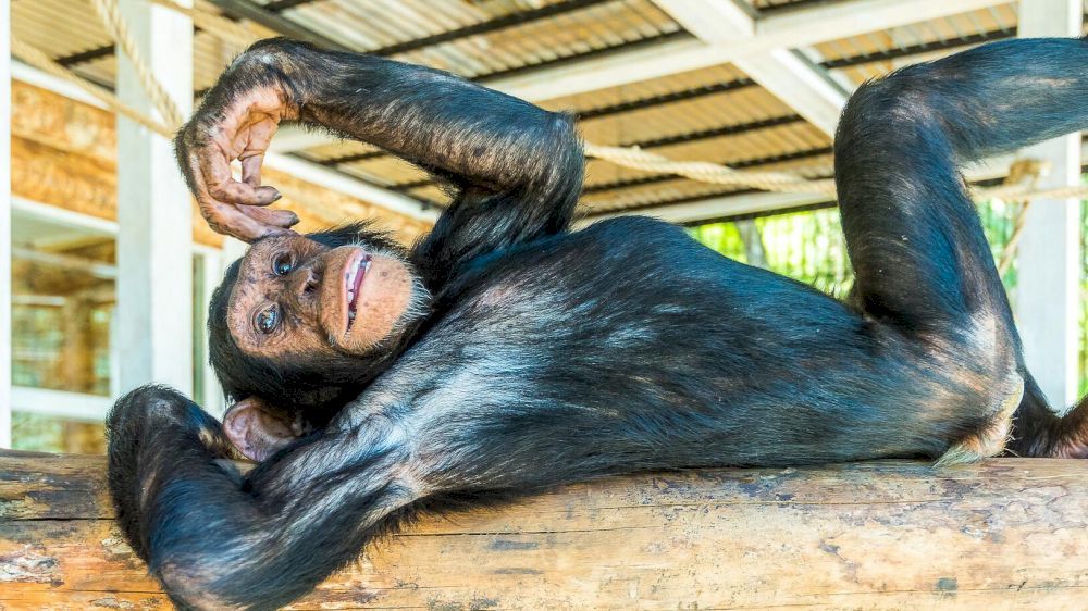 Картинка отеля - 52