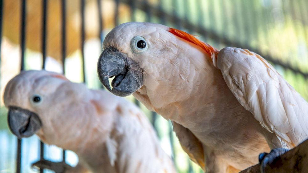 Картинка отеля - 56