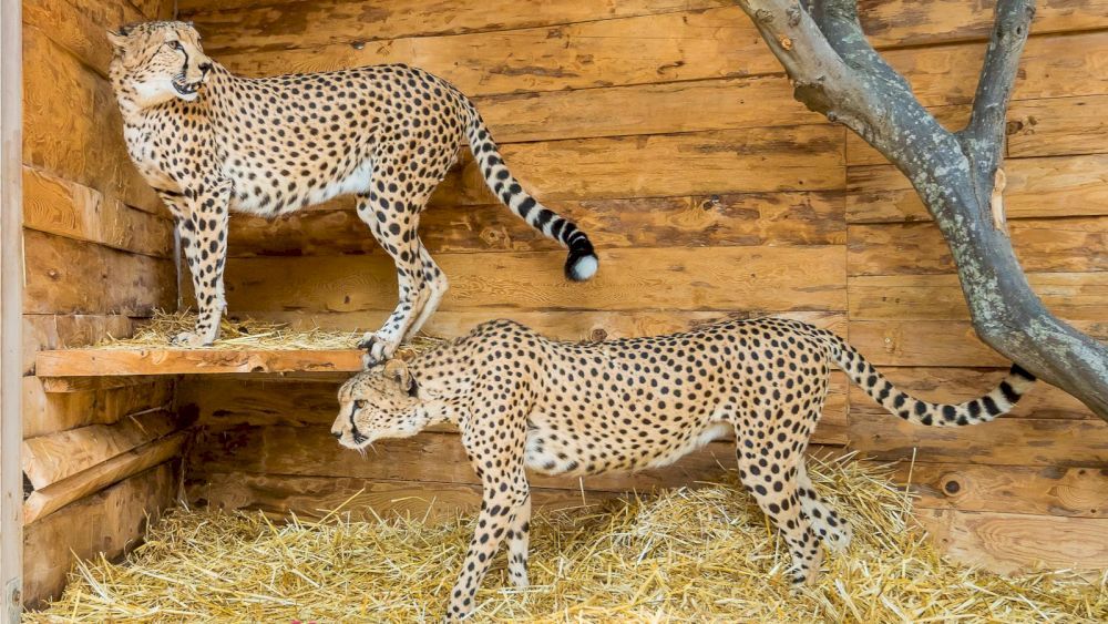 Картинка отеля - 58