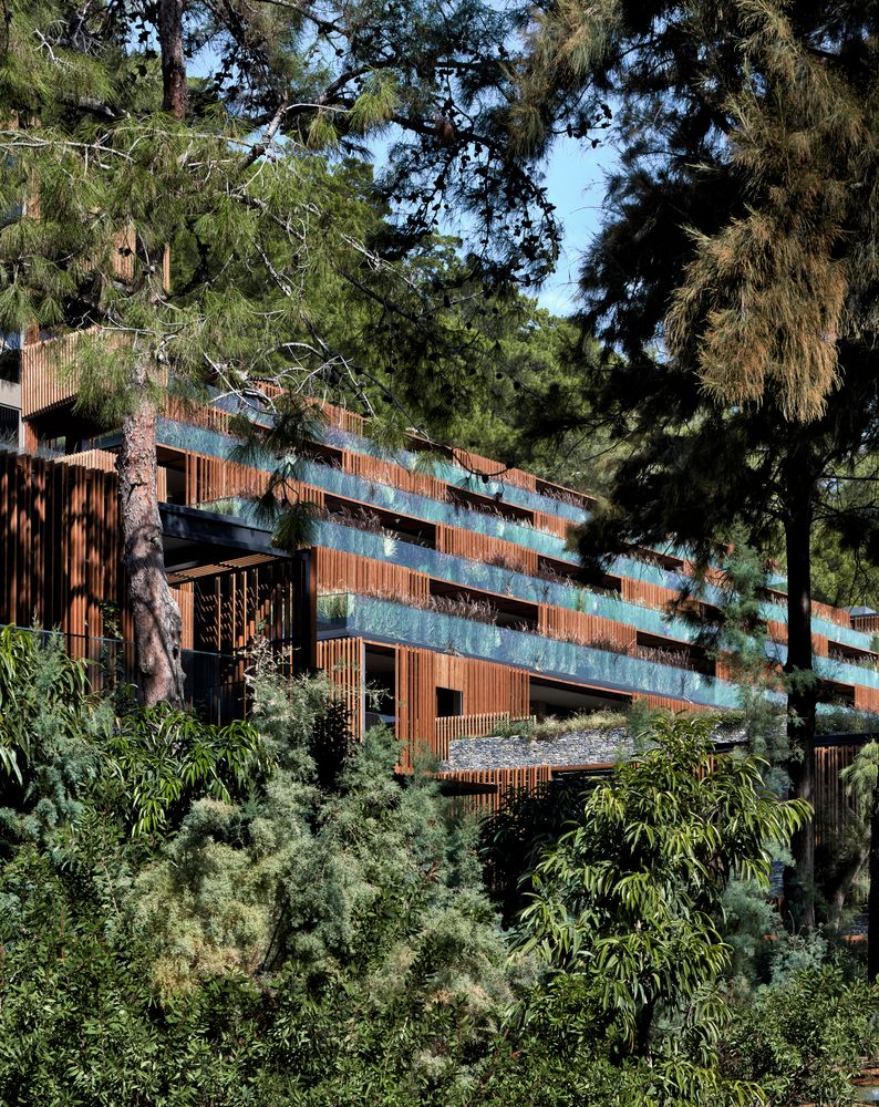 Maxx Royal Kemer - 25