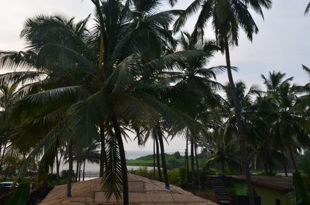 Картинка отеля - 9