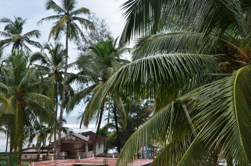 THOMAS BEACH ASHVEM GUESTHOUSE - 6