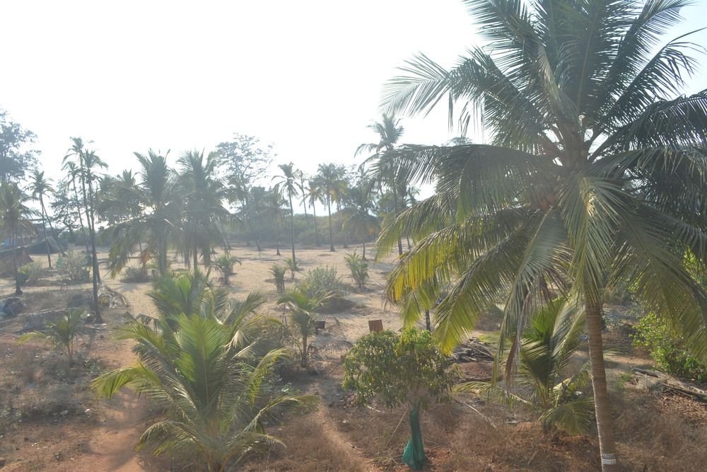 Картинка отеля - 20