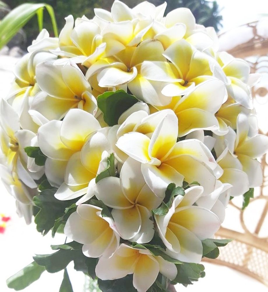 Картинка отеля - 12