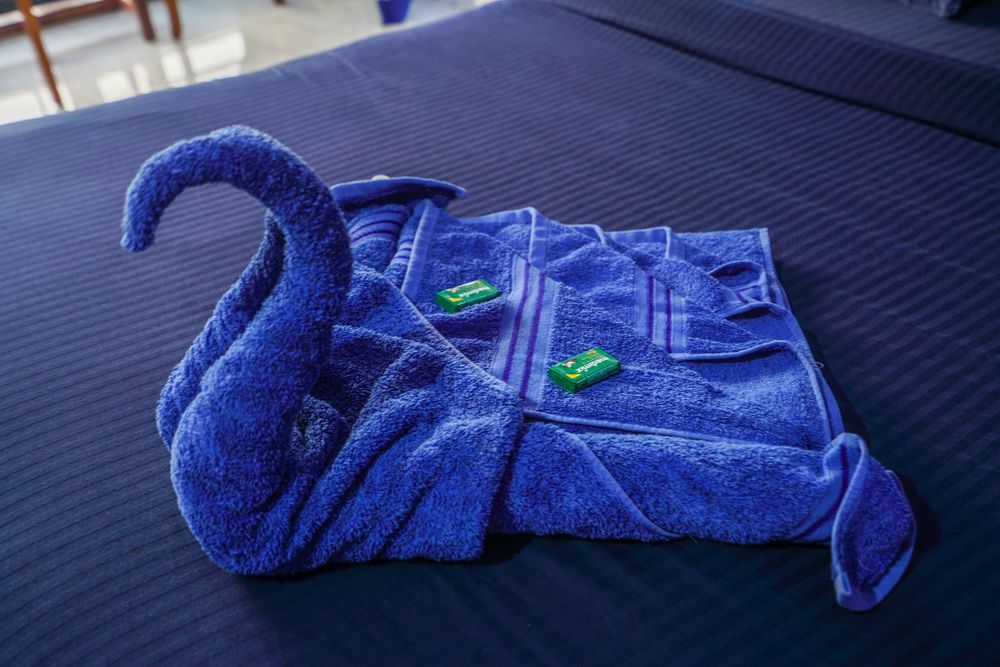 Картинка отеля - 55