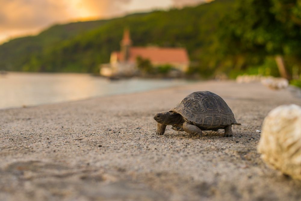 Картинка отеля - 23