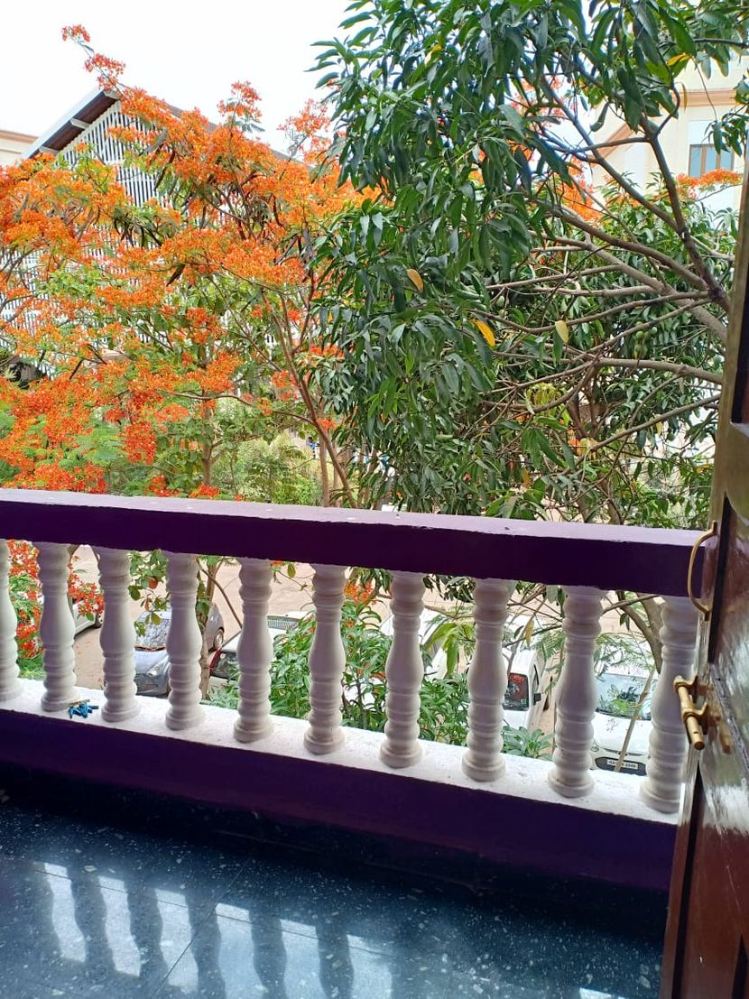 IBR - PLAZA GUESTHOUSE - 3