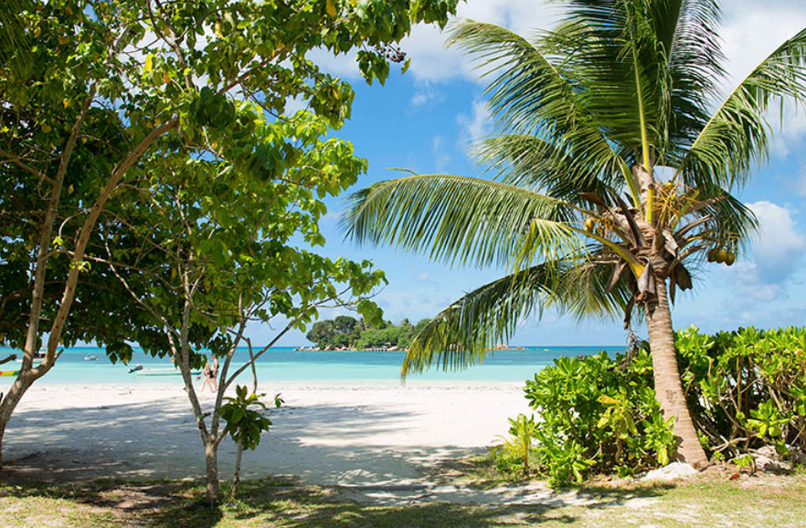 COTE D OR CHALETS - 4