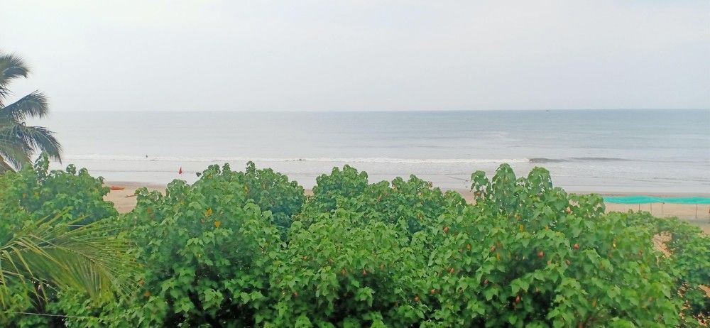 21 COCONUTS INN  - 5