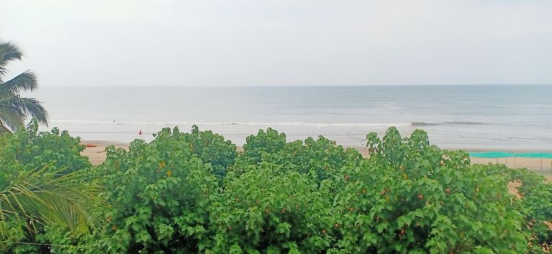 21 COCONUTS INN  - 5