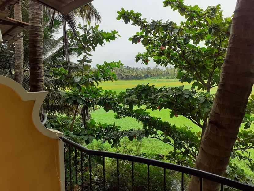 COUNTRY VIEW COTTAGE GUESTHOUSE - 4