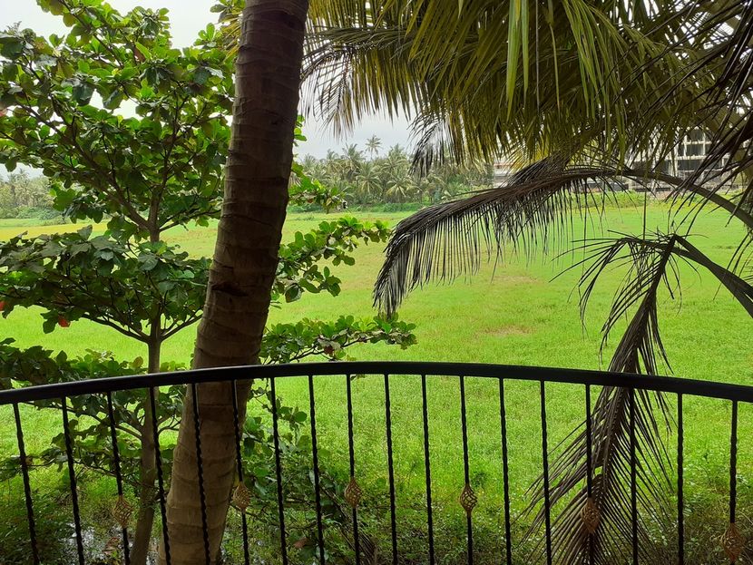 COUNTRY VIEW COTTAGE GUESTHOUSE - 3