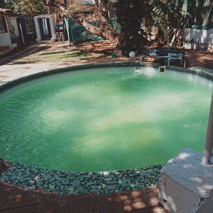 COCOS RESORT GOA - 6