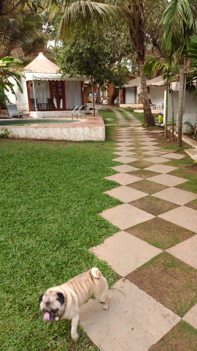 COCOS RESORT GOA - 4