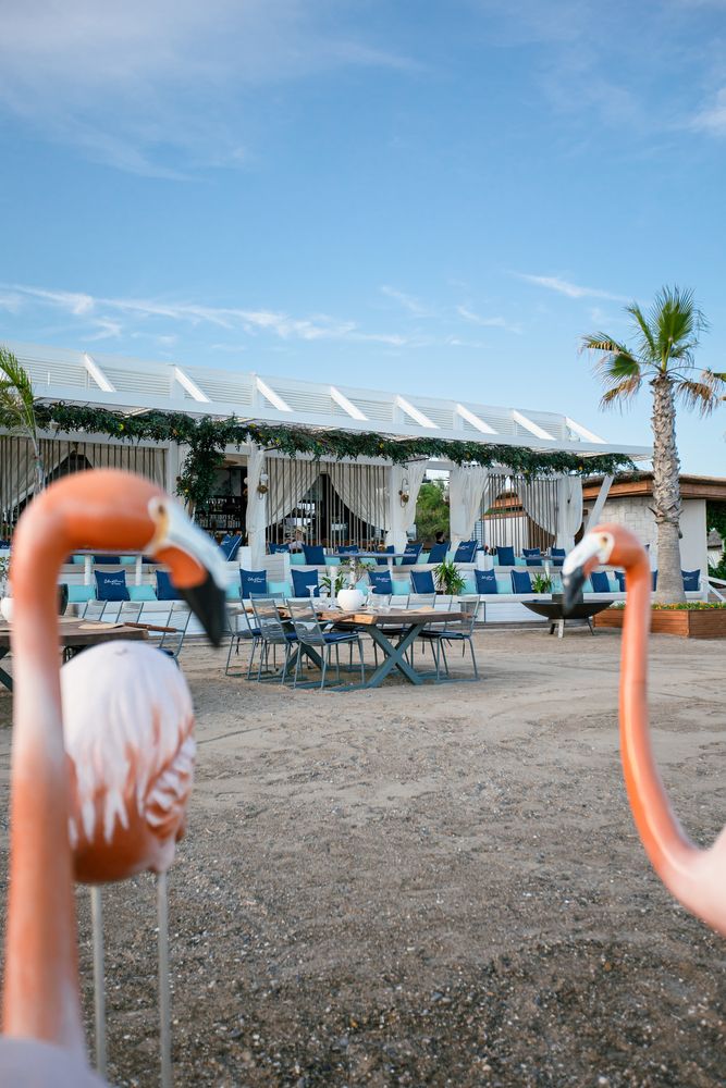 Картинка отеля - 14