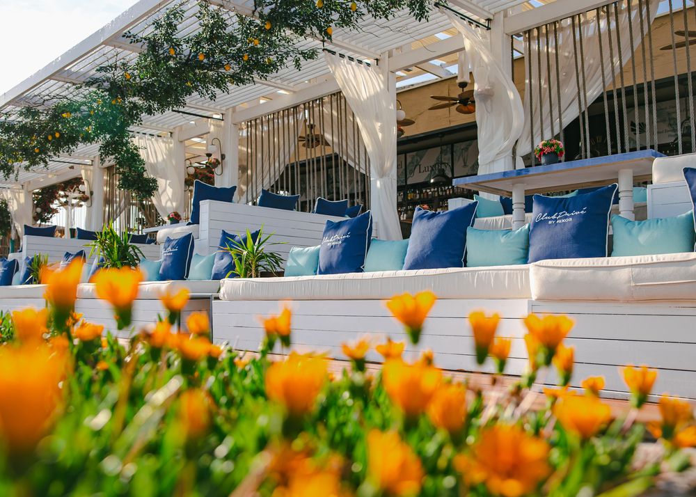 Картинка отеля - 13