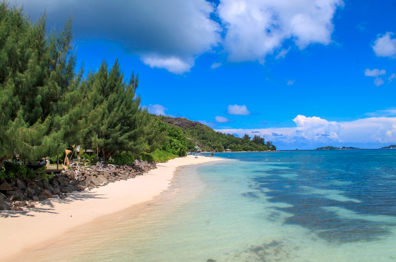 L HABITATION CERF ISLAND - 1