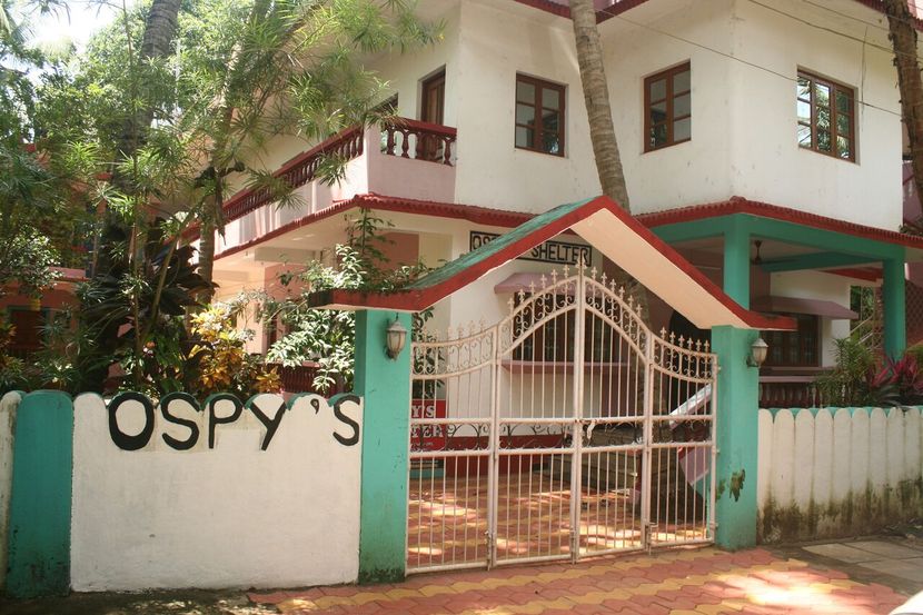OSPYS SHELTER GUESTHOUSE - 1