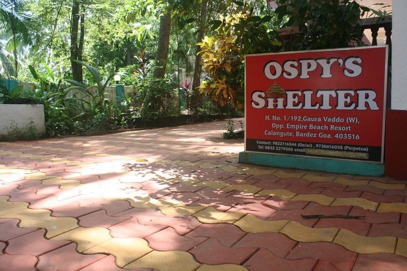OSPYS SHELTER GUESTHOUSE - 2