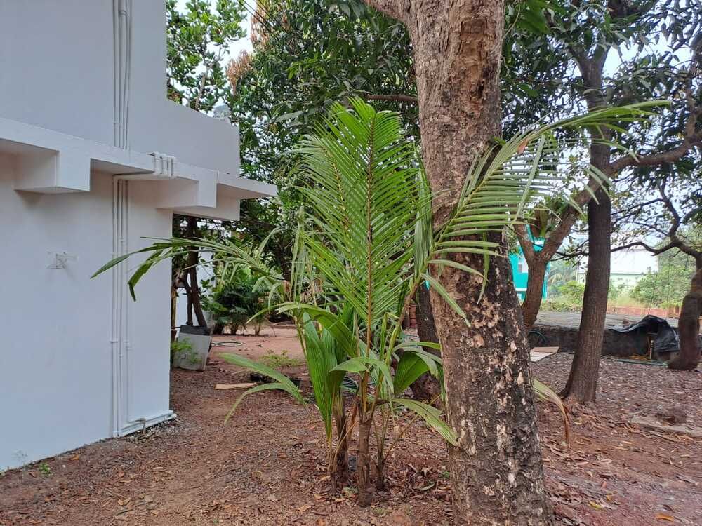 Картинка отеля - 2