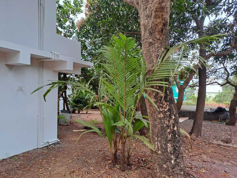 MILOZA HOLIDAY HOME - 2