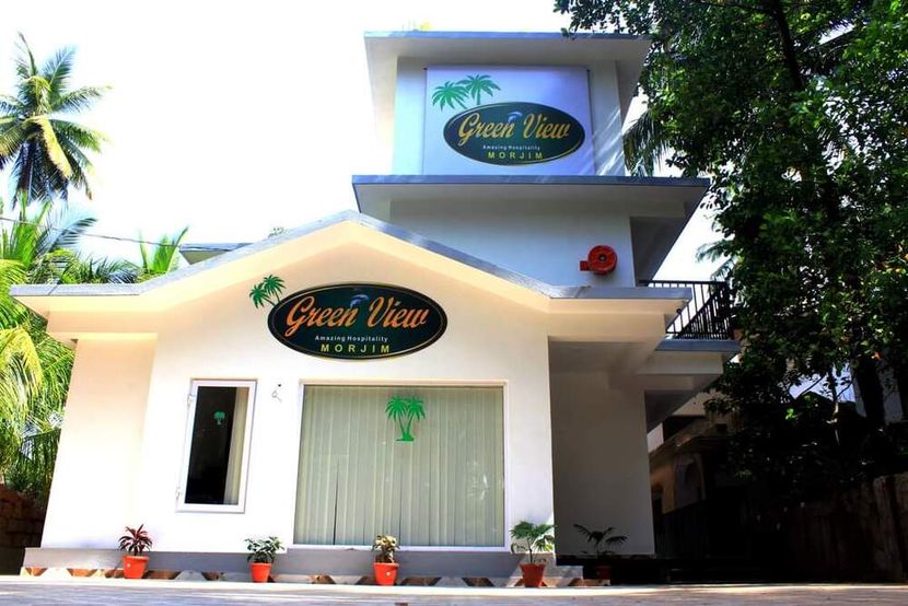 GREEN VIEW - 1