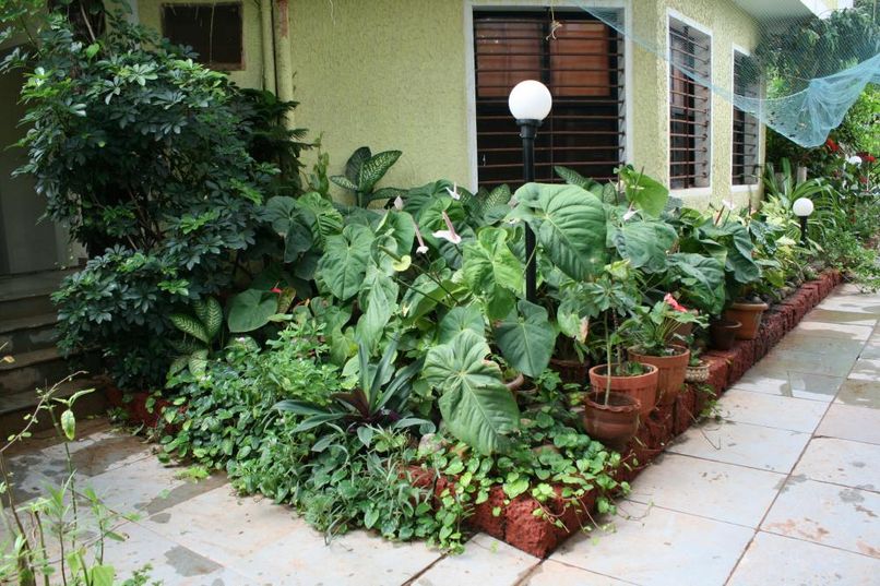 POONAM RESORT GUESTHOUSE - 5