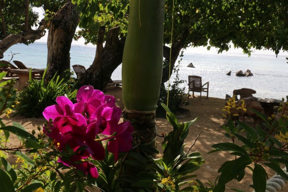 Картинка отеля - 8