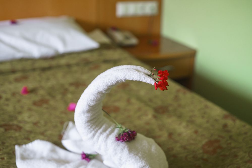 Camyuva Luna Hotel (ex. Larissa Inn Hotel) - 31