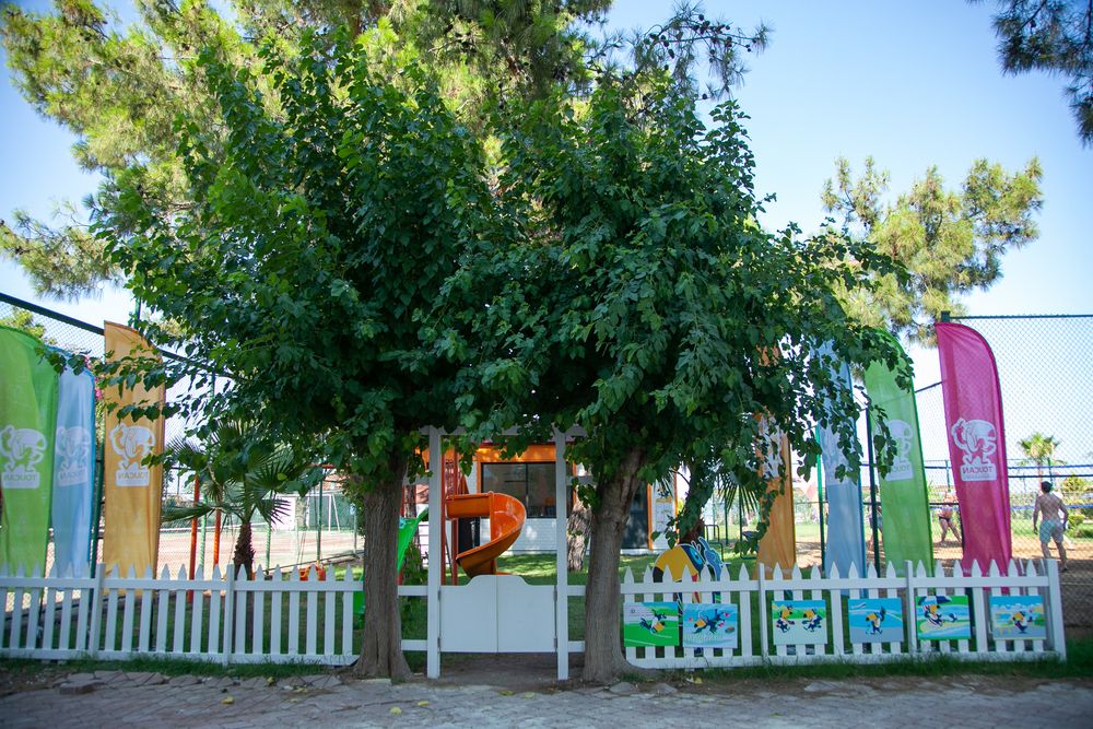 Trans Atlantik Beach - 35