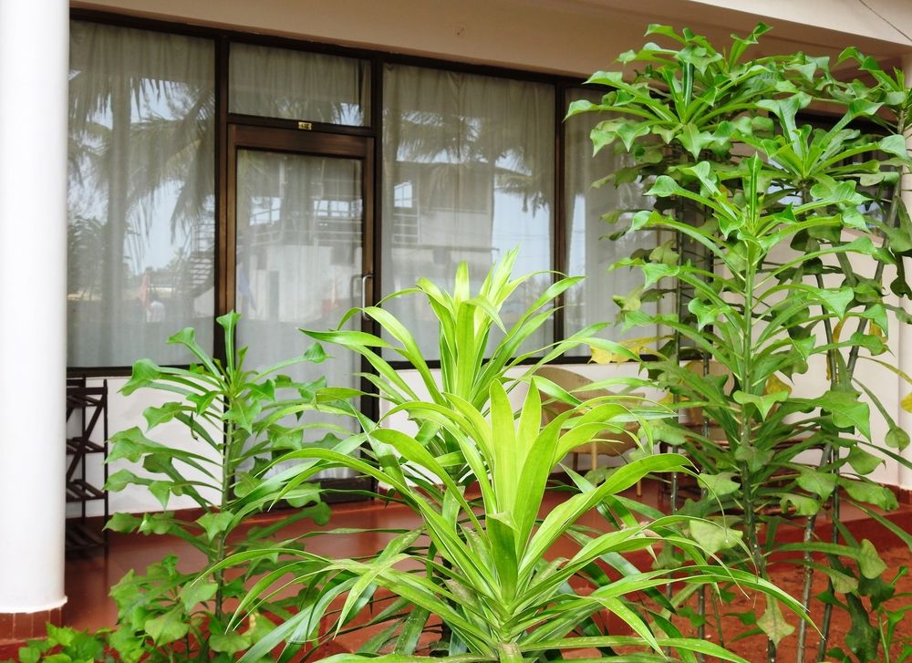 MORJIM HERMITAGE - 18