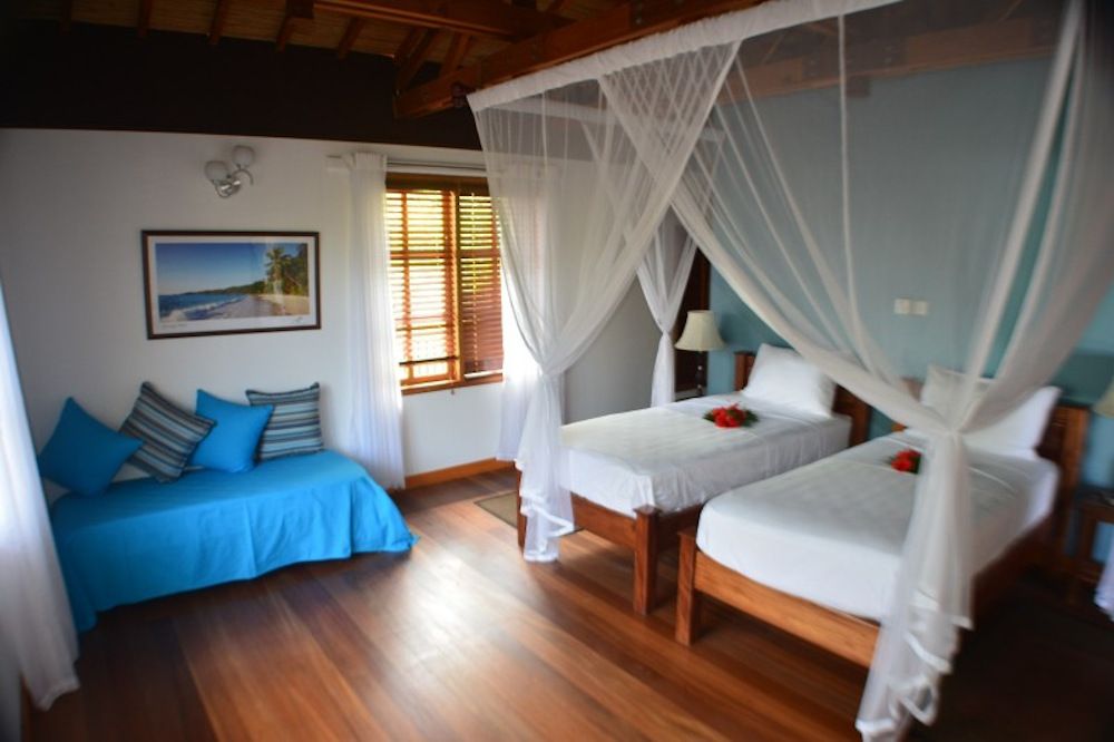 HELICONIA GROVE - 10