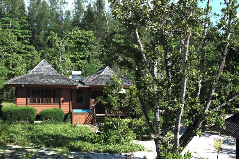 HELICONIA GROVE - 1