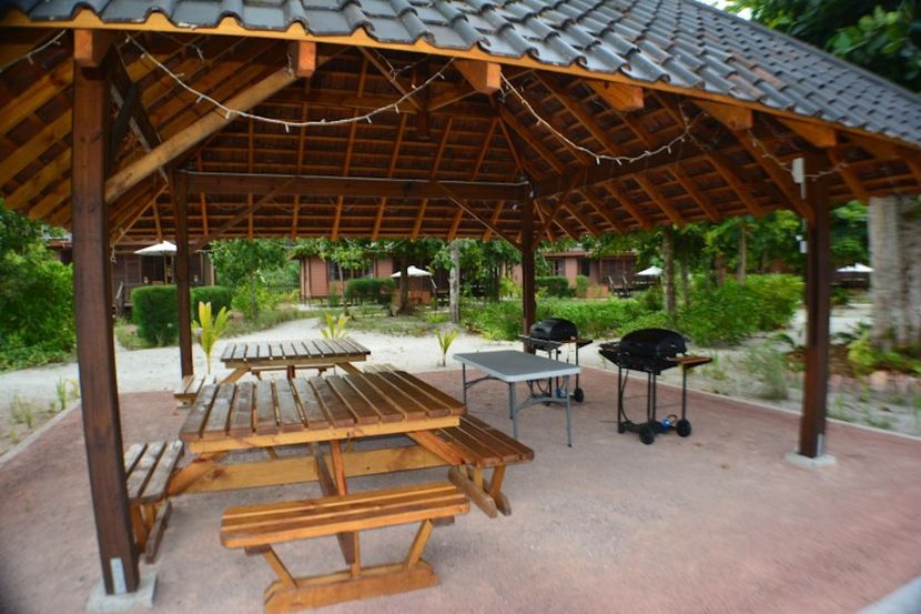 HELICONIA GROVE - 4