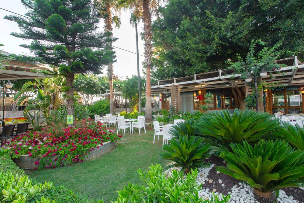 Beach Club Doganay - 42