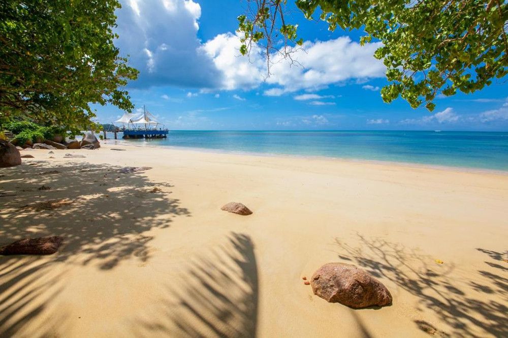 THE COCO DE MER HOTEL & BLACK PARROT SUITES - 3