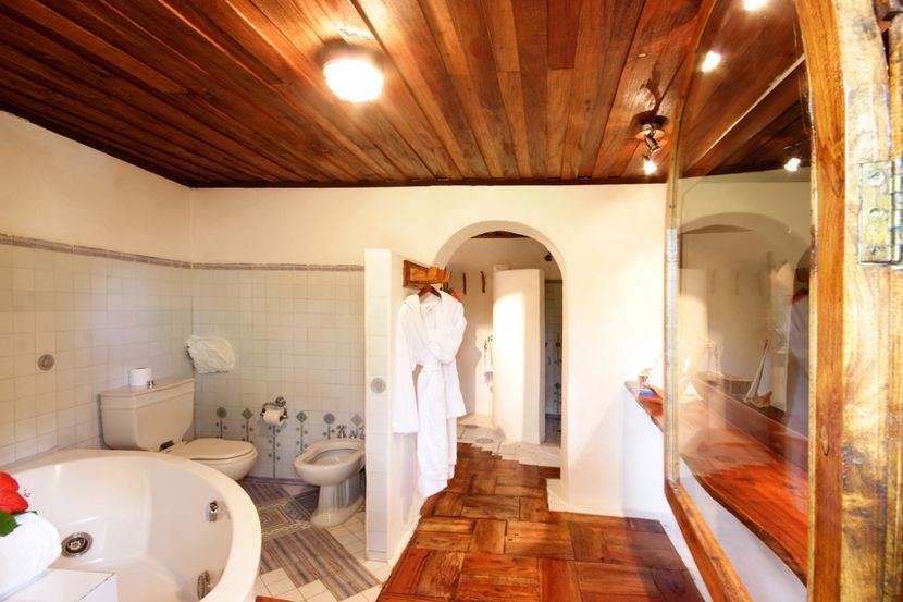 CHAUVE SOURIS RELAIS (child only 12+) - 6