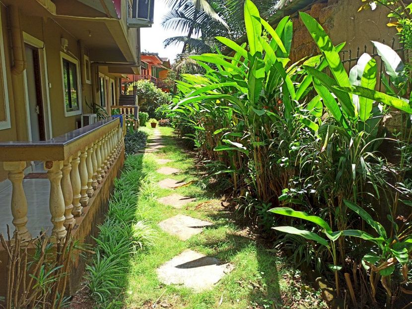 TGF DREAM GUESTHOUSE - 3