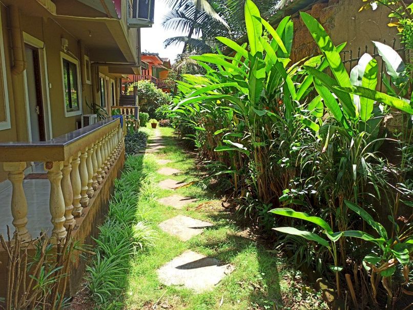 TGF DREAM GUESTHOUSE - 3